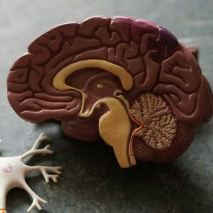 Núria Pallach - Maestra de Reiki, terapeuta energética y experta en meditación para la salud mental y física