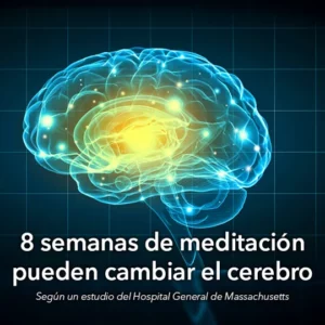 Núria Pallach - Maestra de Reiki, terapeuta energética y experta en meditación para la salud mental y física